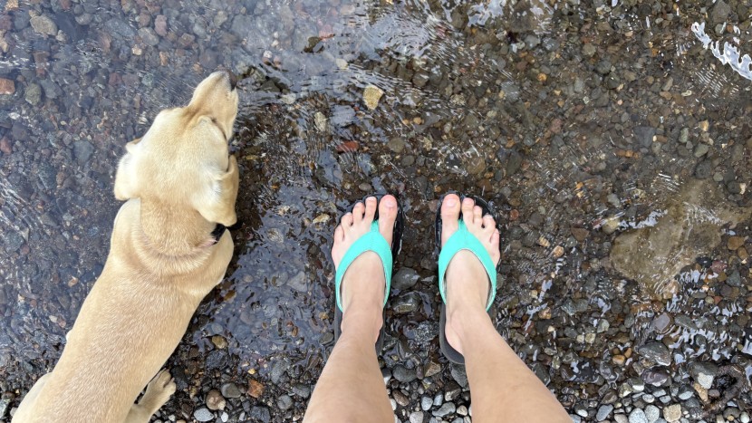 the yoga mat material feels like walking on a squishy cloud