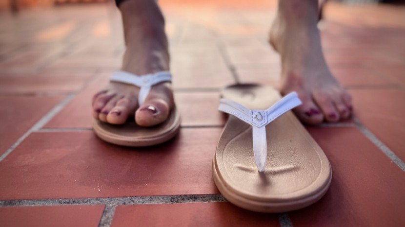 the malua provides low to moderate support through a lightly...